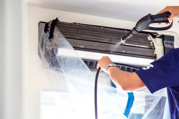 Best Air Duct Mold Removal  in Watseka, IL
