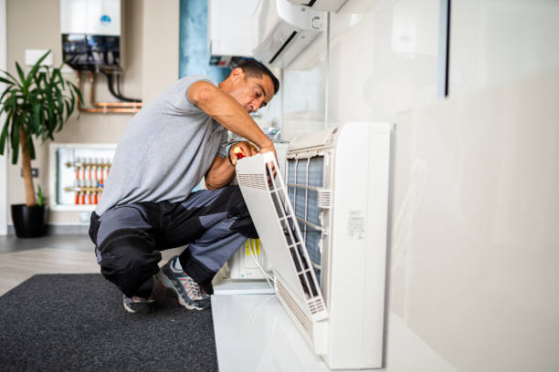 Best Home Air Vent Cleaning  in Watseka, IL