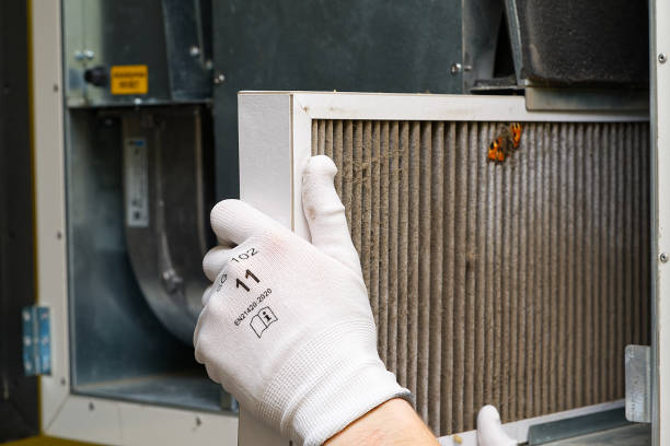 Best HVAC Air Duct Cleaning  in Watseka, IL