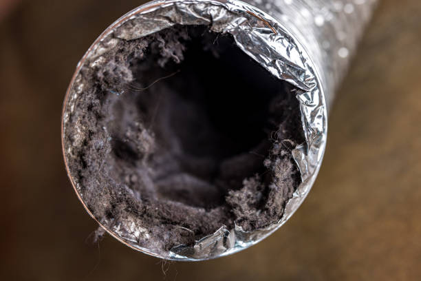 Best Commercial Air Duct Cleaning  in Watseka, IL